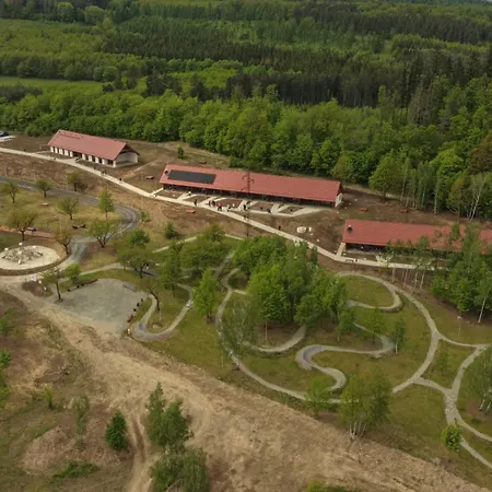 Camp 巴尔多